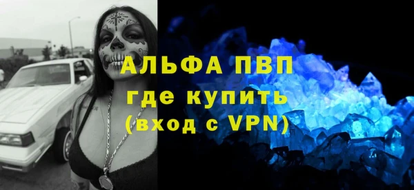 хмурый Аркадак