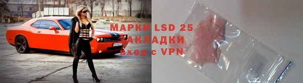 хмурый Аркадак
