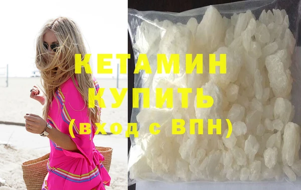 хмурый Аркадак