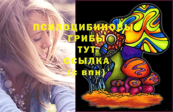 хмурый Аркадак